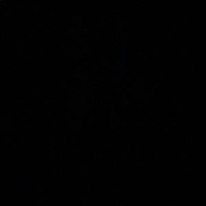 Meet your Posher, Collin